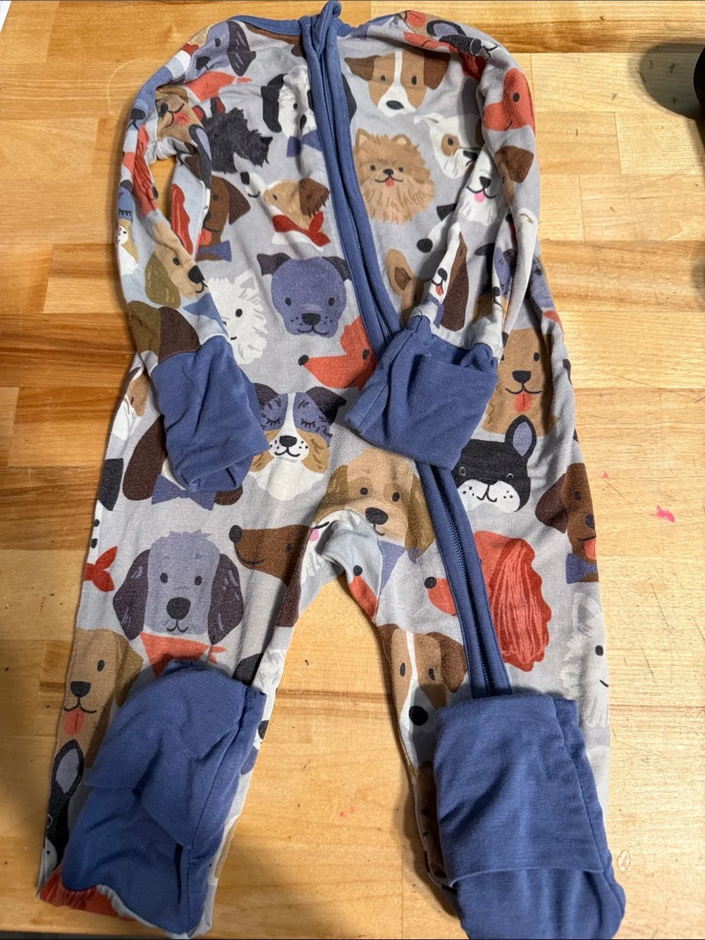 Little Sleepies Blue and Multi Dog Print Footed One-Piece